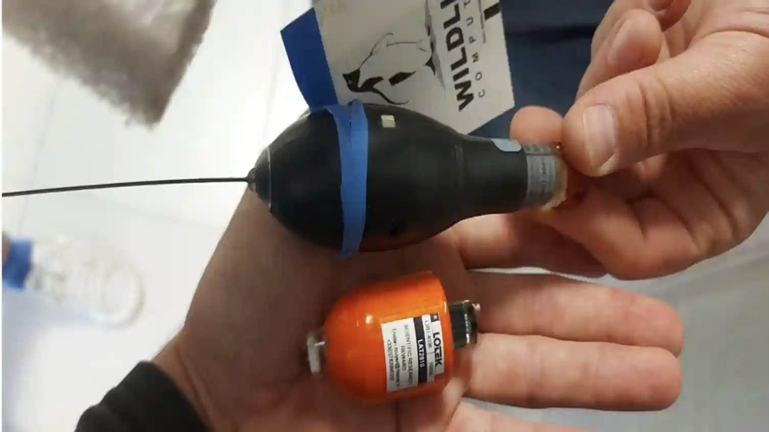 Suivie par balise ARGOS - MTR