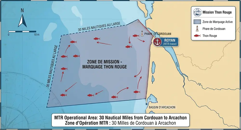 Zone de recherche de thons - MTR