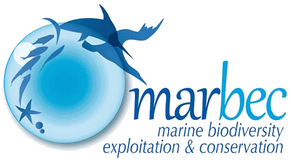 Logo logo_marbec.webp